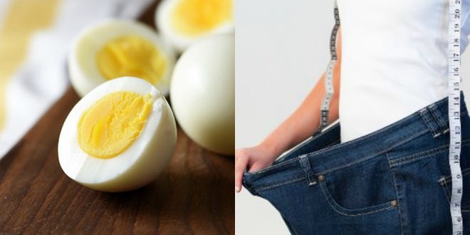 رجيم البيض لفقدان الوزن بسرعة مذهلة في أسبوع   الشرقية توداي