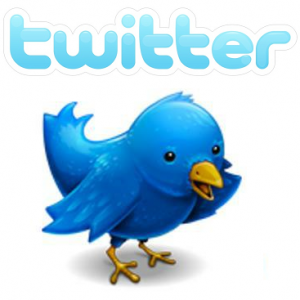 معركة «هاشتاجات» مدح وسخرية من قطر على «تويتر» بعد إساءة صحفي قطري لمصر 1 twitter-bird