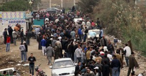 نفاذ بطاقات التصويت بلجنة بفاقوس 1 223