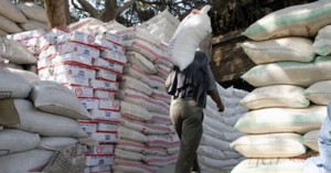 ضبط 9 أطنان دقيق مدعم بمخزن فى العاشرقبل بيعه لمخابز سياحية بالشرقية 1 413
