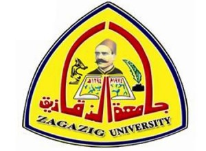 رئيس جامعة الزقازيق يهدى القائد العسكري درع الجامعة في الذكرى الأولى للثورة 1 زقازيق