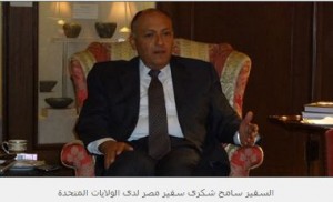 سفير مصر بواشنطن يطلق مبادرة لعلاج مصابى الثورة بالولايات المتحدة 1 سفير مصر بالولايات المتحدة