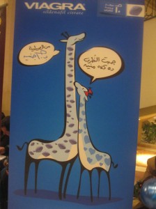 صحه 1 صحه 1