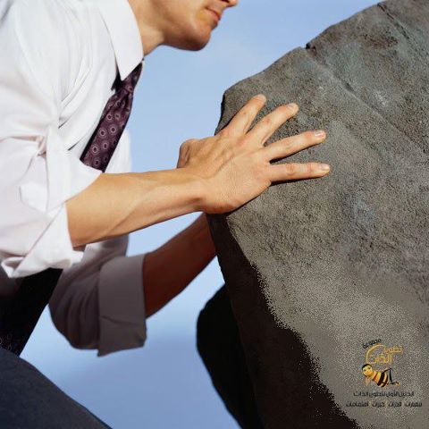اسامة ابراهيم