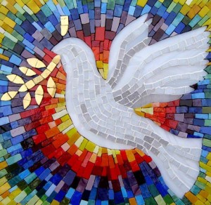 peace dove web
