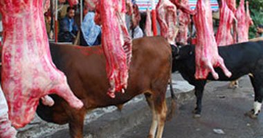 الزراعة تحدد سعر كيلو اللحم البلدى بـ٥٥ جنيها فى المحافظات 1 لحمه