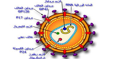 الايدز الايدز