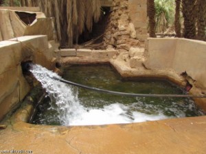 بركه