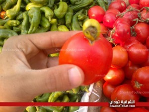 طماطم 0
