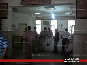فاقوس 0 فاقوس 0
