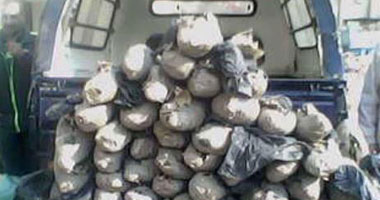 سقوط "أبو أرانب" أخطر مروجى المواد المخدرة بكفور نجم بالشرقية 1 بانجو