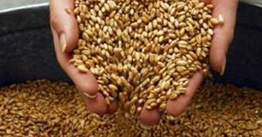 واشنطن توافق على تصدير القمح إلى مصر باستخدام "ضمانات أمريكية" 1 أرشيفية