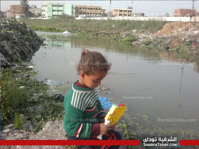 بالفيديو والصور : أهالى "البوها" بكفر صقر: مياه الشرب تختلط بالمجاري والمسئولون لا يتحركون لانقاذنا 3 2