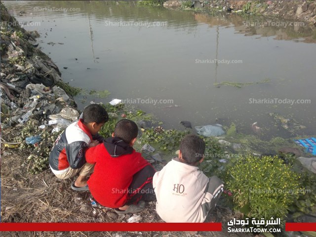بالفيديو والصور : أهالى "البوها" بكفر صقر: مياه الشرب تختلط بالمجاري والمسئولون لا يتحركون لانقاذنا 4 4