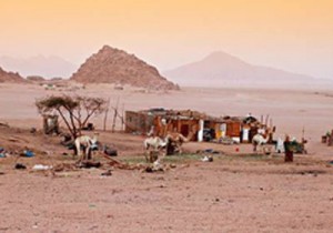 ممدوح حمزة يقترح «خطة سباعية» لحل أزمة سيناء تتضمن سوقًا على الحدود مع غزة 1 سيناء