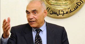 وزير الخارجية المصرى محمد عمرو