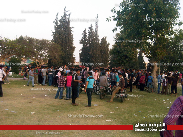 بالصور.. حدائق "الصالحيه الجديده" تستقبل المواطنين للاحتفال بشم النسيم 1 22