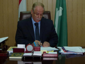 حسن النجار