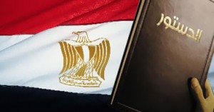 "الناصرى" بالشرقية يطالب بضرورة تمثيل الأقاليم بلجنة تعديل الدستور