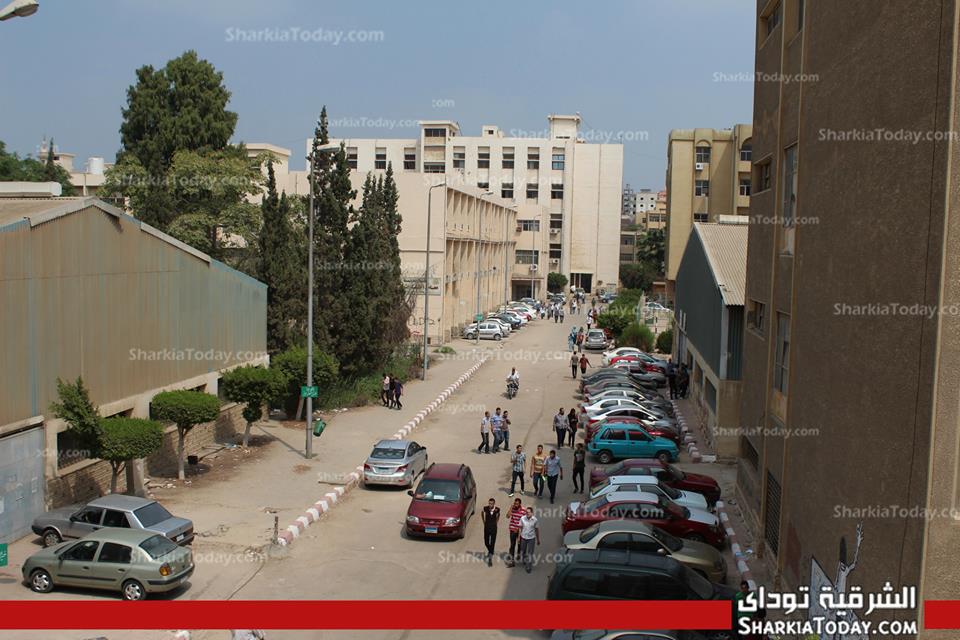 بالصور..جامعة الزقازيق تستقبل طلابها فى أول أيام العام الجديد 2 545950_522036634531139_137072461_n