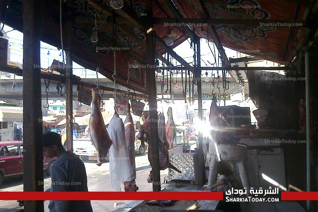 بالصور .. نرصد أسعار اللحوم والاستعدادت لعيد الأضحى بالشرقية 8 11