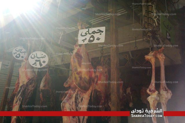 بالصور .. نرصد أسعار اللحوم والاستعدادت لعيد الأضحى بالشرقية 9 12