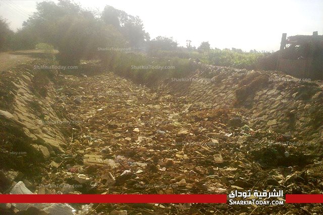 بالصور ...قري بالشرقية تغرق في القمامة والاهالي تستغيث 3 74520_531835580231230_1858417531_n