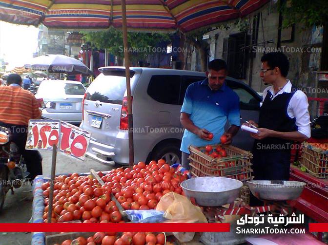 بائعو الخضار بالشرقية : قرار التسعيرة الجبرية مناسب ولكن صعب تنفيذه 1 التسعيره