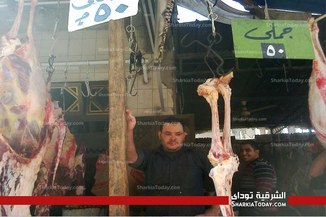 بالصور .. نرصد أسعار اللحوم والاستعدادت لعيد الأضحى بالشرقية 1 شاشه