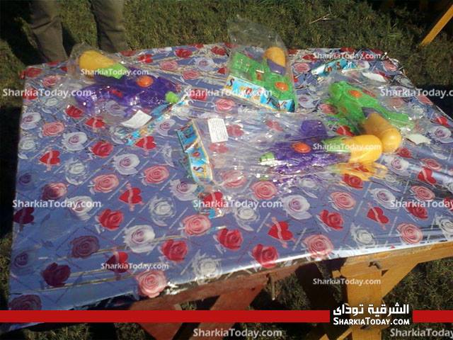 بالصور... معرض بكلية التجارة جامعة الزقازيق لصالح معهد الاورام بالشرقية 3 1003554_728069090554164_207761471_n