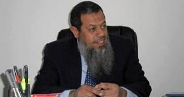 "النور": دعوة الإخوان للحوار قد تكون مخرجا للأزمة الحالية بمصر 1 110201225165831