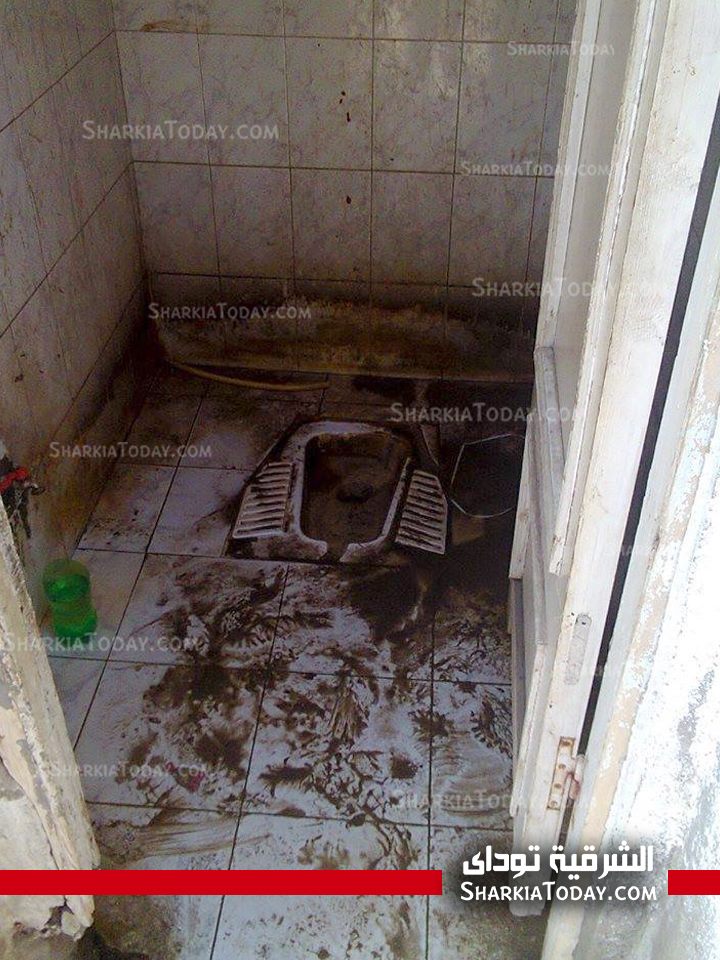 بالصور : كارثة بمستشفي أبو حماد " دورات المياه غير آدمية و قطط بغرف الكشف " 5 1476495_10153664508050372_1765733349_n