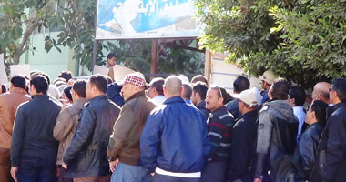مجلس الوزراء: اصطفاف المواطنين بالطوابير أظهر حرصهم على المشاركة في خارطة الطريق 1 11201414171742