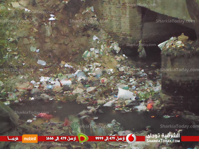 قرية المسلمية تغرق في مياة الصرف الصحي بالزقازيق 1 6