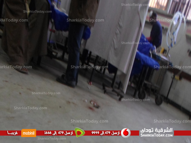 بالصور: كارثة محققه بمستشفي الجامعه في الشرقية ," قطط " بغرف العناية المركزة والمرضي " الداخل مفقود والخارج مولود " 2 تحقيق5