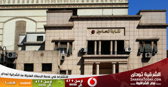 اعتصام محامين بأولاد صقر بمقر النقابة لتضررهم من أحد القضاة 1 اعتصام محامين بأولاد صقر بالشرقية بمقر النقابة لتضررهم من أحد القضاة