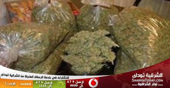 ضبط عاطل بحوزته فرد خرطوش قبل ترويجه 6 كيلو بانجو بأبوكبير 1 بانجو