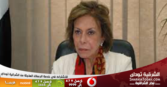 رئيس المجلس القومى للمرأة : نساء مصر يواجهن الرجعية 1 ميرفت تلاوى
