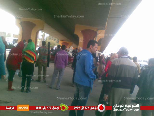 بالصور.. استياء طلاب الجامعه بسبب قلة مواصلات الزراعة 2 00