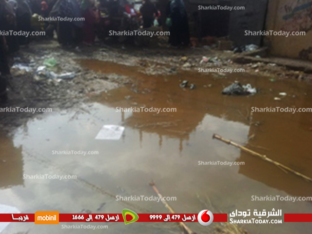 بالصور....مياه الصرف الصحى تغرق قرية الغزاله بالزقازيق 4 33