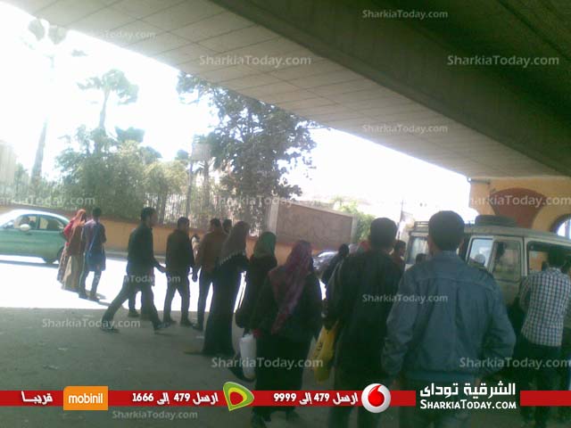 بالصور.. استياء طلاب الجامعه بسبب قلة مواصلات الزراعة 3 3