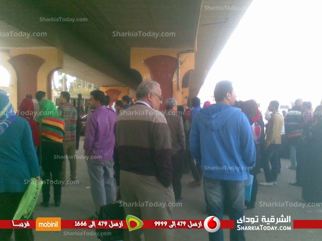 بالصور.. استياء طلاب الجامعه بسبب قلة مواصلات الزراعة 4 4