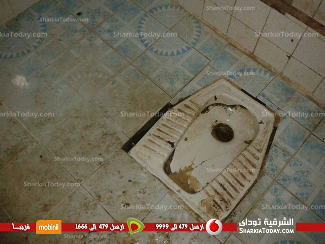 بالصور ..الإهمال والقطط صديقان للمرضى بمستشفى الحسينيه 7 66