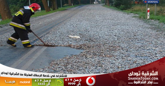 بالفيديو : السماء تمطر سمكاًً 1 SMS-News-Banner_560X292