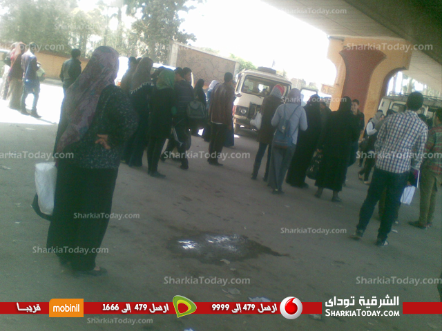 بالصور.. استياء طلاب الجامعه بسبب قلة مواصلات الزراعة 1 ا