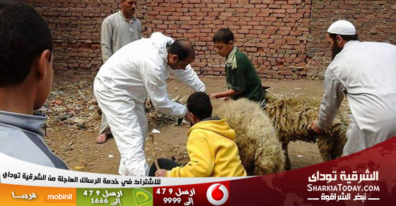 "النور" بالشرقية ينظم قافلة بيطرية في منيا القمح 1 حزب النور
