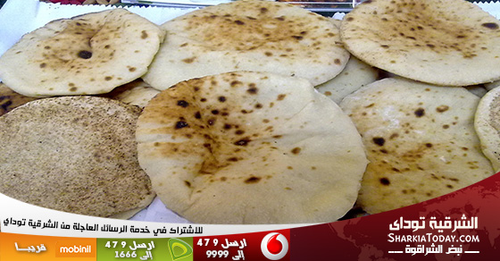 وزير التموين: نصيب الفرد من الخبز فى المناطق العشوائية لا يتعدى رغيفا 1 العيش