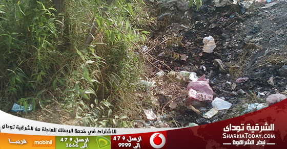 بالصور...جفاف ترعة بقرية الشبراوين يهدد المحاصيل و الأراضي الزراعية بههيا 1 000