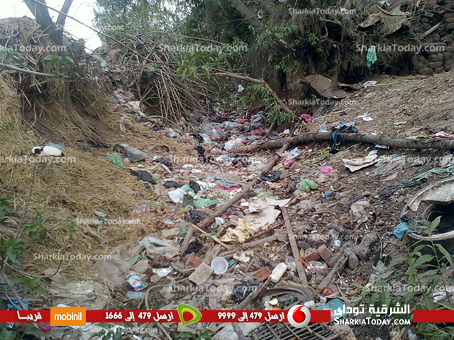 بالصور...جفاف ترعة بقرية الشبراوين يهدد المحاصيل و الأراضي الزراعية بههيا 2 6633