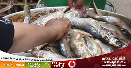 إعدام 841 كيلو من الأسماك المملحة فاسدة بالشرقية